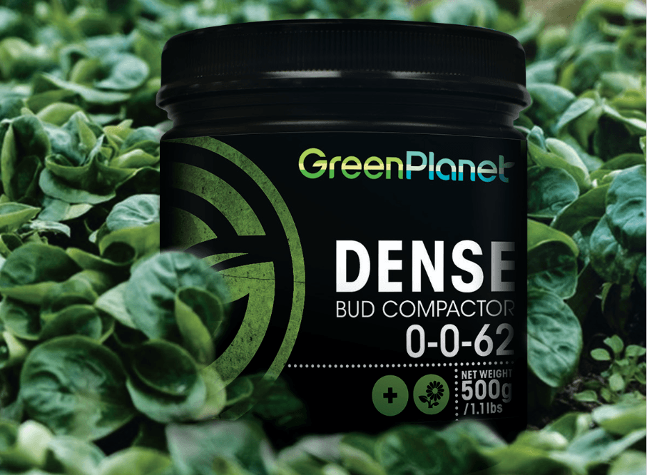 Dense bud compactator de green planet